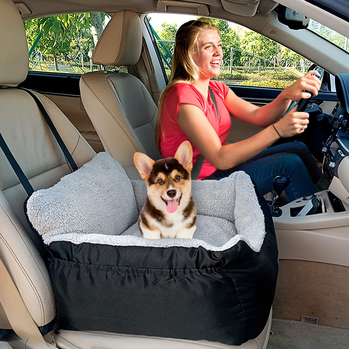 BurgeonNest Washable Dog Booster Car Seat – Black